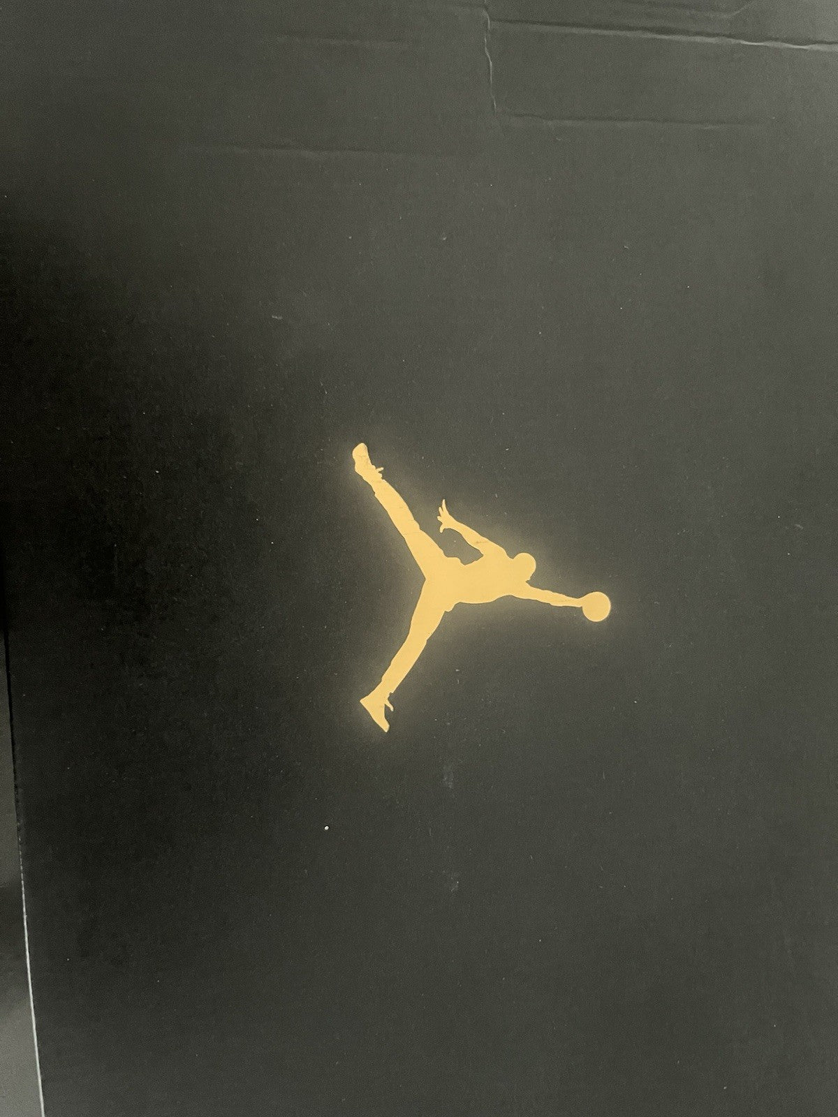 Jordan 1 Mid SE